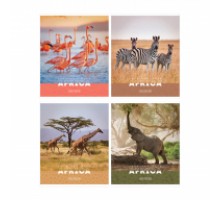 Тетрадь "Животные. Nature of Africa", клетка 48л., А5, ArtSpace  эконом