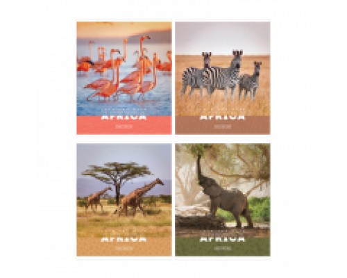 Тетрадь "Животные. Nature of Africa", клетка 48л., А5, ArtSpace  эконом