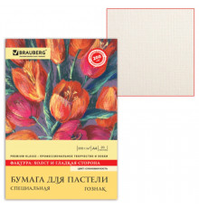 Папка для пастели А4, 210 х 297 мм, 20 листов, тонированная бумага, слоновая кость, ГОЗНАК «Холст», блок 200 г/м²