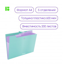 Папка 5 отделений Berlingo "Haze", А4, 600мкм, на кнопке, мятная, софт-тач