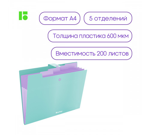Папка 5 отделений Berlingo "Haze", А4, 600мкм, на кнопке, мятная, софт-тач Папка 5 отделений Berlingo "Haze", А4, 600мкм, на кнопке, мятная, софт-тач