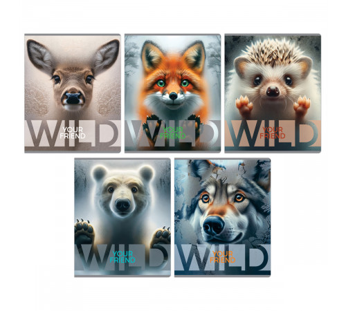 Тетрадь 48л., А5, клетка BG "Wild", суперэконом, универсальный