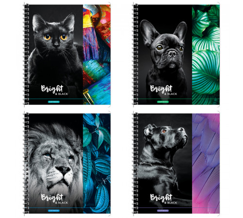 Тетрадь 80л А5 клетка ArtSpace Животные. Bright&black 26757