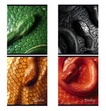 Тетрадь 48л., А5, клетка BG "Snake", выб.лак