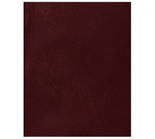 Тетрадь 48л., А5 клетка BG, бумвинил, бордовый, суперэконом