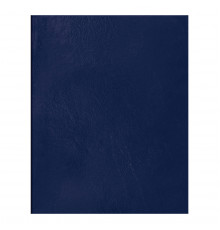 Тетрадь 48л., А5 клетка BG, бумвинил, синий