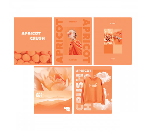 Тетрадь 48л., А5, клетка BG "Apricot", матовая ламинация