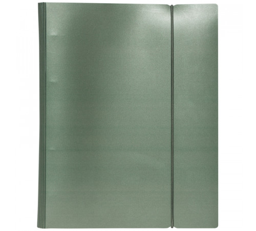 Тетрадь на кольцах Хатбер Metallic 120л. кл.