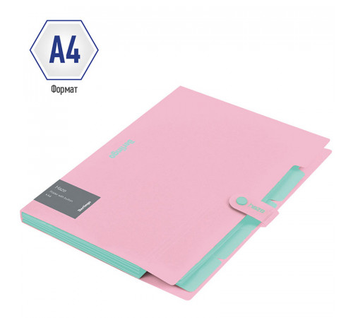 Папка 5 отделений Berlingo "Haze", А4, 600мкм, на кнопке, розовая, софт-тач