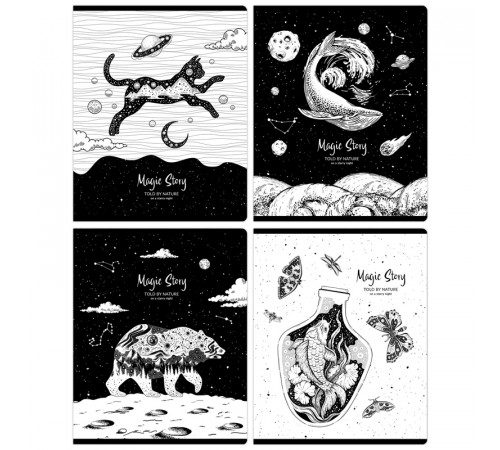 Тетрадь 48л., А5, клетка BG "Magic story", выб. лак
