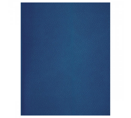 Тетрадь 96л., А5 клетка BG, бумвинил, синий