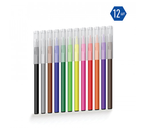 Фломастеры Berlingo "Замки", 12цв., смываемые, картон, европодвес