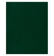 Тетрадь 96л., А5 клетка BG, бумвинил, зеленый, суперэконом