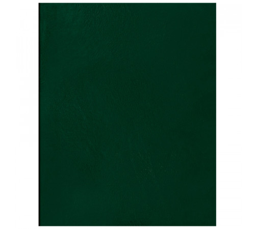 Тетрадь 96л., А5 клетка BG, бумвинил, зеленый, суперэконом