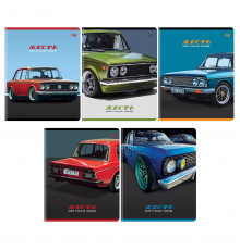 Тетрадь 48л., А5, клетка BG "Жесть", суперэконом