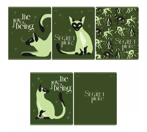 Тетрадь 48л., А5, клетка BG "Secret Place", матовая ламинация, тиснение фольгой