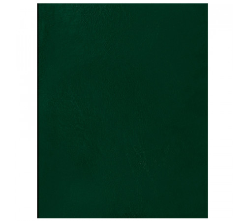 Тетрадь 48л., А5 клетка BG, бумвинил, зеленый, суперэконом