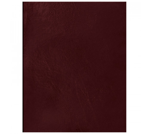 Тетрадь 96л., А5 клетка BG, бумвинил, бордовый, суперэконом