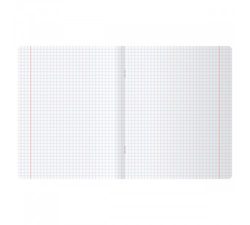 Тетрадь 48л., А5, клетка BG "Apricot", матовая ламинация